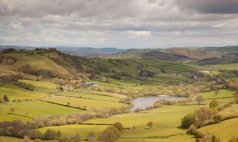 Peter Cairns/2020VISION