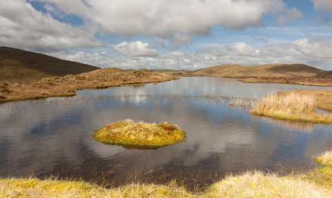 Peat pool on Pumlumon Peter Cairns/2020VISION
