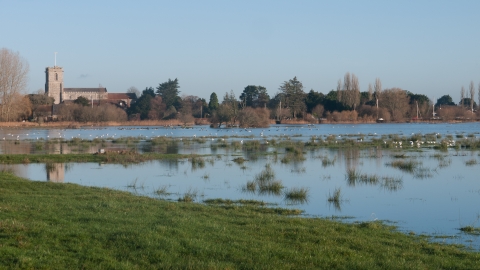 Coastal and floodplain grazing marsh