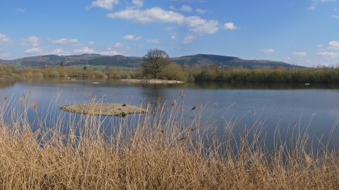 Gwarchodfa Natur Llyn Coed y Dinas yn gynnar yn y gwanwyn