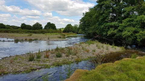 River Severn at Llandinam Gravels Nature Reserve