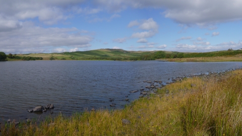 Llyn Mawr Nature Reserve