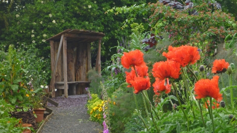 Severn Farm Pond garden