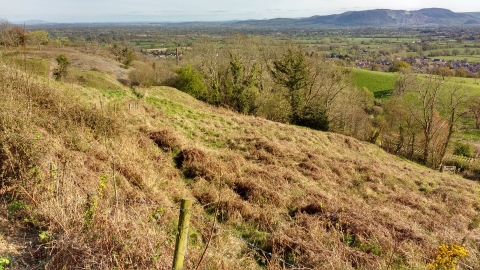 View of Llanymynech Rocks Nature Reserve and landscape beyond