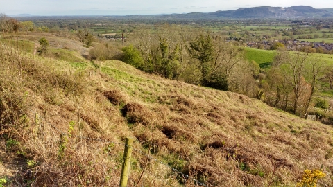 Gwarchodfa Natur Llanymynech Rocks  - golygfa yn y gwanwyn © YNM