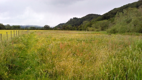 Wetland at Red House Nature Reserve