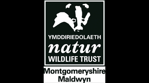MWT logo