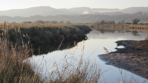 Morfa Dyfi William Condry Nature Reserve in the winter