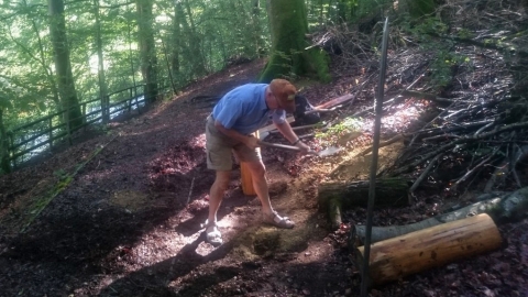 Deri Woods volunteer at work copyright Montgomeryshire Wildlife Trust