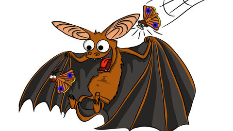 Cartoon image of a bat trying to catch moths copyright Montgomeryshire Wildlife Trust/Daniel Hodgkiss