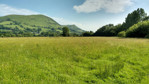 Beautiful nature reserve with green hills in the background