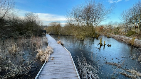 Severn Farm Pond Nature Reserve in Winter