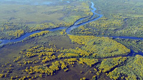 Aerial view of the Pantanal