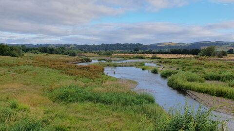 Landscape of Dolydd Hafren nature reserve, with the river in shot
