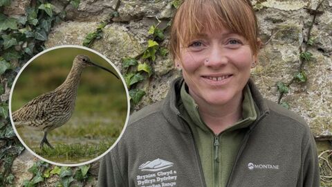 Close up of woman outside with inset picture of a Curlew