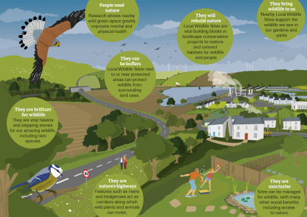 WT Local Wildlife Sites infographic