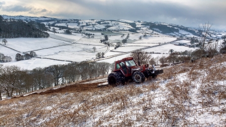 Contractor cutting bracken & scrub for PBFs 27th February 2018