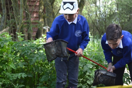 School children pond dipping