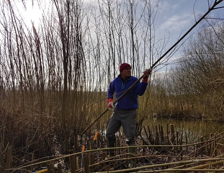 Montgomeryshire Wildlife Trust volunteer coppicing at Pwll Penarth Nature Reserve copyright Montgomeryshire Wildlife Trust