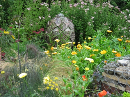 Severn Farm Pond demonstration wildlife garden copyright Montgomeryshire Wildlife Trust