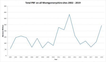 Graph showing the numbers of Pearl-bordered Fritillary butterfly in Montgomeryshire 2002 to 2019