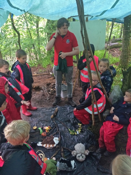 A school group in Deri Woods copyright Montgomeryshire Wildlife Trust