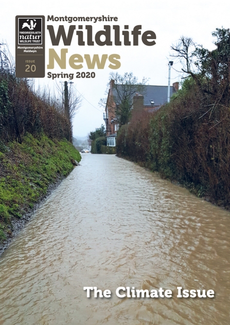 Montgomeryshire Wildlife News Spring 2020 magazine cover