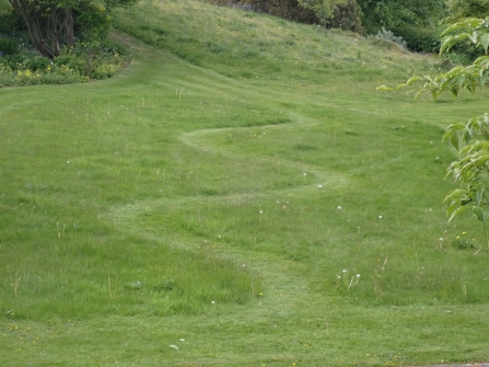 Meandering path through lawn