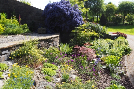 The author’s garden in spring