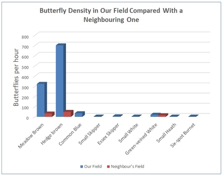 A comparison of butterfly population densities