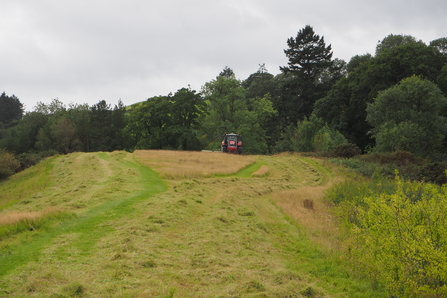 Contractors cutting grass