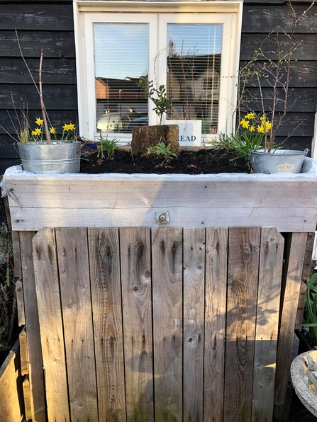 Phil's purpose built storage unit with wildflower bed built on top copyright Ceri Jones