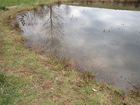 Our pond in mid-March