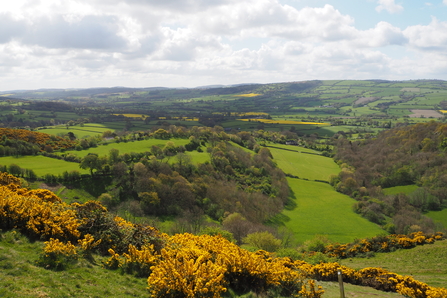 Looking South from Roundton Hill 