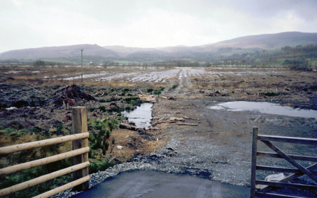 Cors Dyfi - Recently felled & flooded