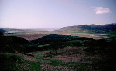 An old photograph of ‘Dyfi Bryncynfil Forest’ 