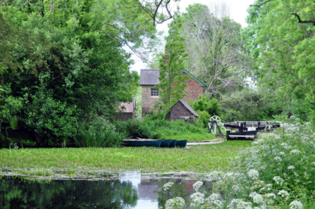 Summer scene of the Montgomery Canal with building in the background and boats on the water