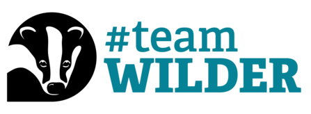Team Wilder Logo