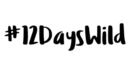 12 Days Wild Logo