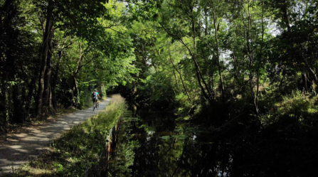 Cyclist on the towpath to the left of the Montgomery Canal in summer