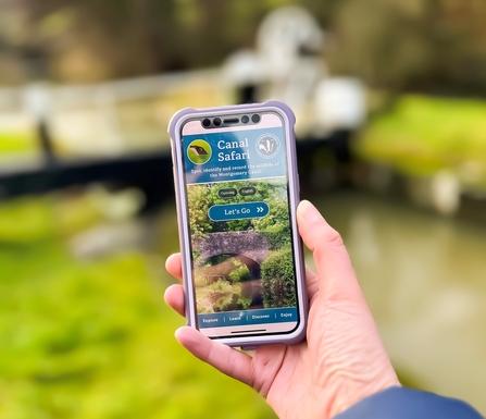 Hand holding a smartphone in front of a canal, with a canal lock in the background