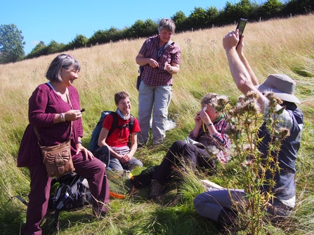 People sitting in a meadow, learning about bee identification