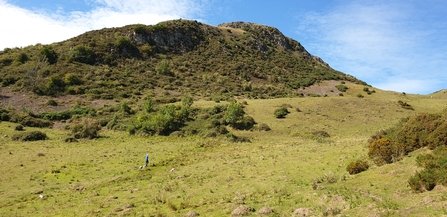 Roundton Hill Nature Reserve looking up towards the summit