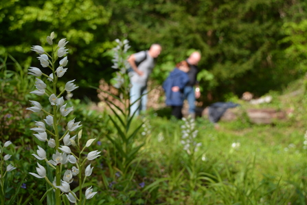 People looking at wildlife, to record it