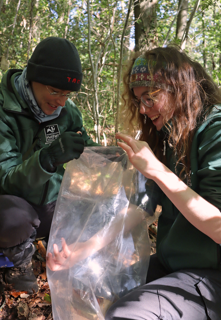 Two people holding a plastic bag. One person has their hand in the clear plastic bag trying to catch a mouse.