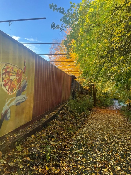 Severn Farm Pond Artwork 