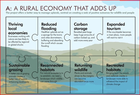 Graphic showing the Pumlumon Project jigsaw