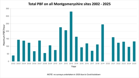 A bar chart showing the total number of Pearl-bordered Fritillary butterflies (measured by PBF/hour) recorded each year in Montgomeryshire between 2002 and 2025