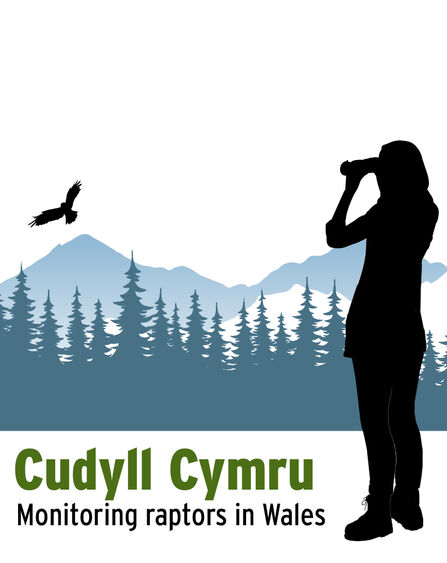 Logo showing a woman watching a raptor through binoculars