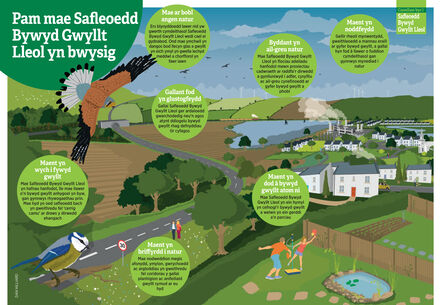 Pam mae Safleoedd Bywyd Gwyllt yn bwysig: mae ar bobl angen natur, gallant fod yn glustogfeydd, byddant yn ail-greu natur, maent yn noddfeydd, maent yn wych i fywyd gwyllt, maent yn briffyrdd i natur, maent yn dod â bywyd gwyllt atom ni.